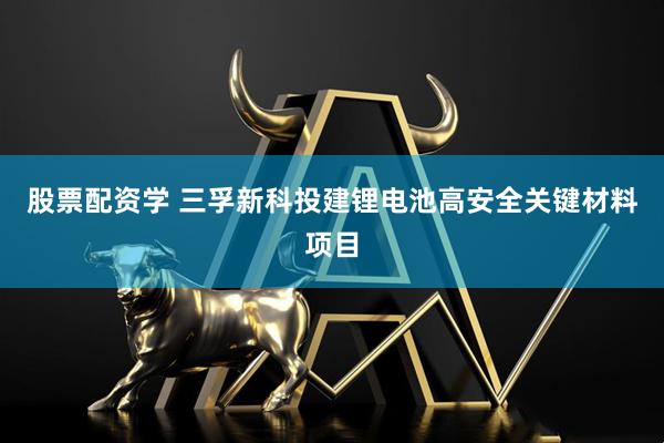 股票配资学 三孚新科投建锂电池高安全关键材料项目